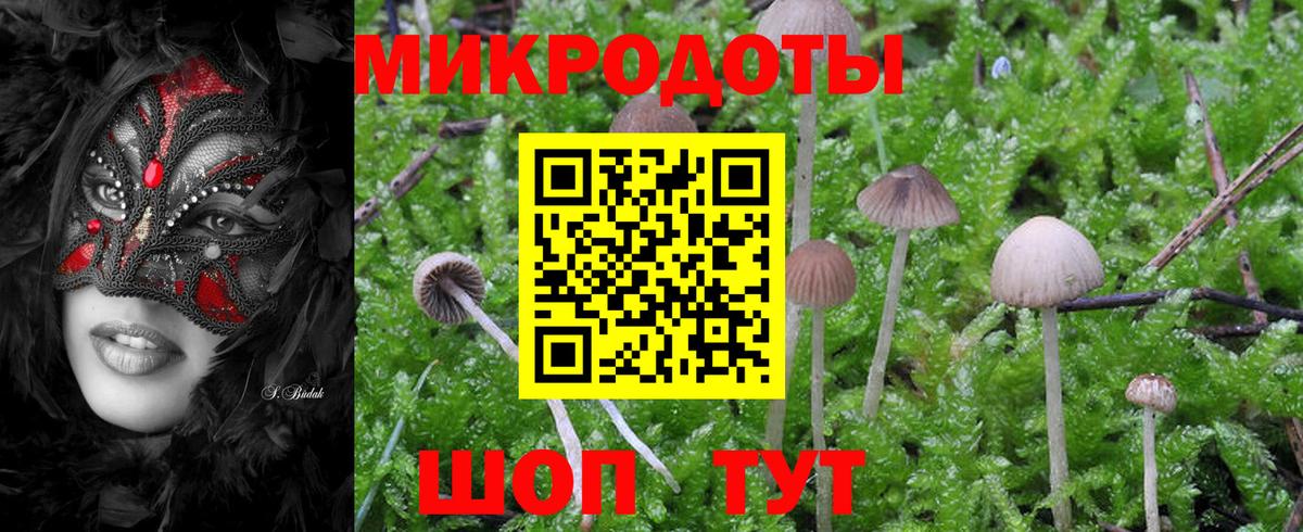 Канаш  Псилоцибиновые грибы мицелий  Вход с VPN  Галлюциногенные грибы Psilocybe 