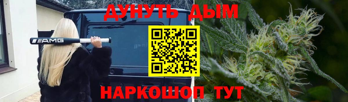 Конопля SATIVA & INDICA Канаш
