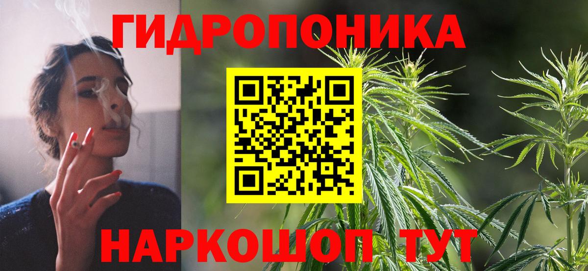 Каннабис планчик  Вход с VPN  Канаш  МАРИХУАНА Ganja 